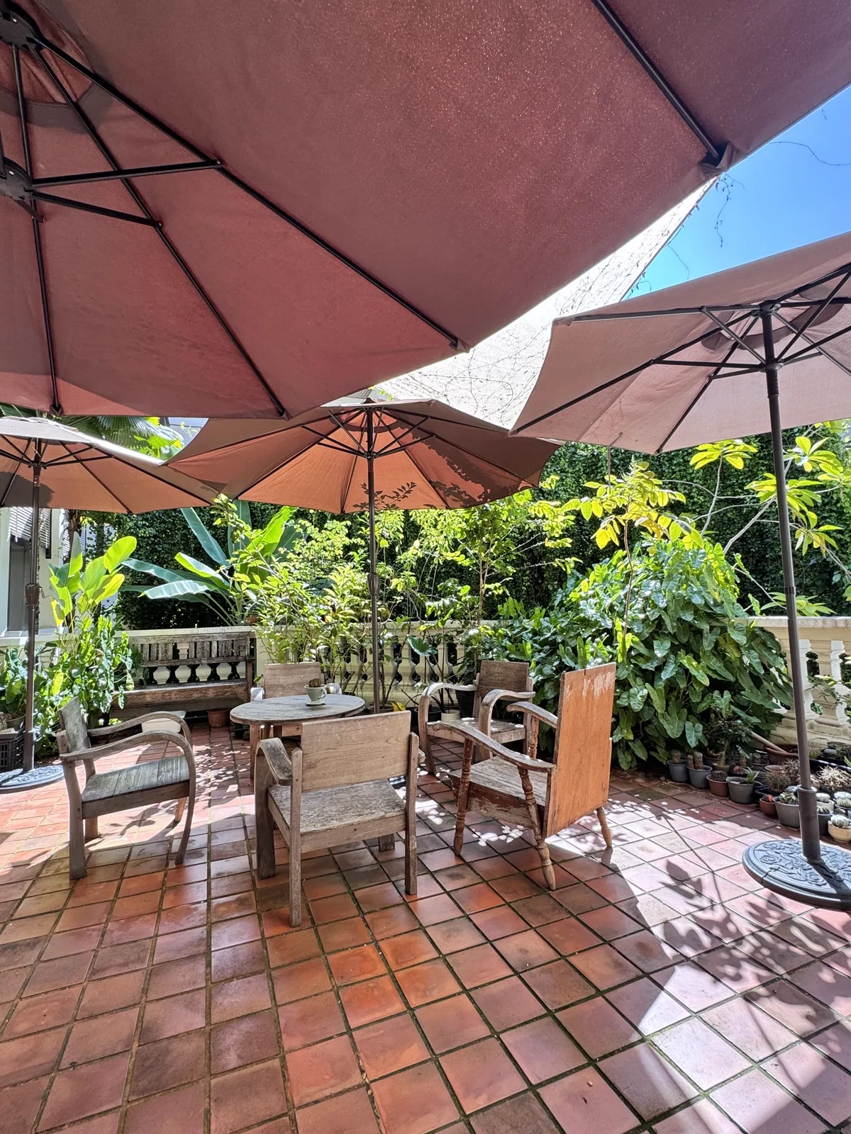 Empty terracotta-tiled patio with umbrellas, wooden chairs and potted plants