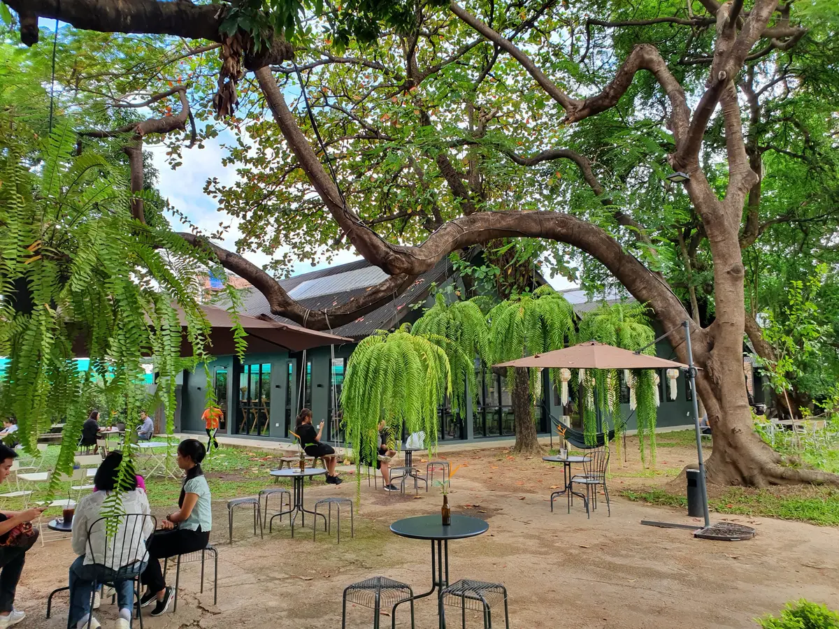 Courtyard with a large old tree, small round tables and stools and a low roofed building behind.