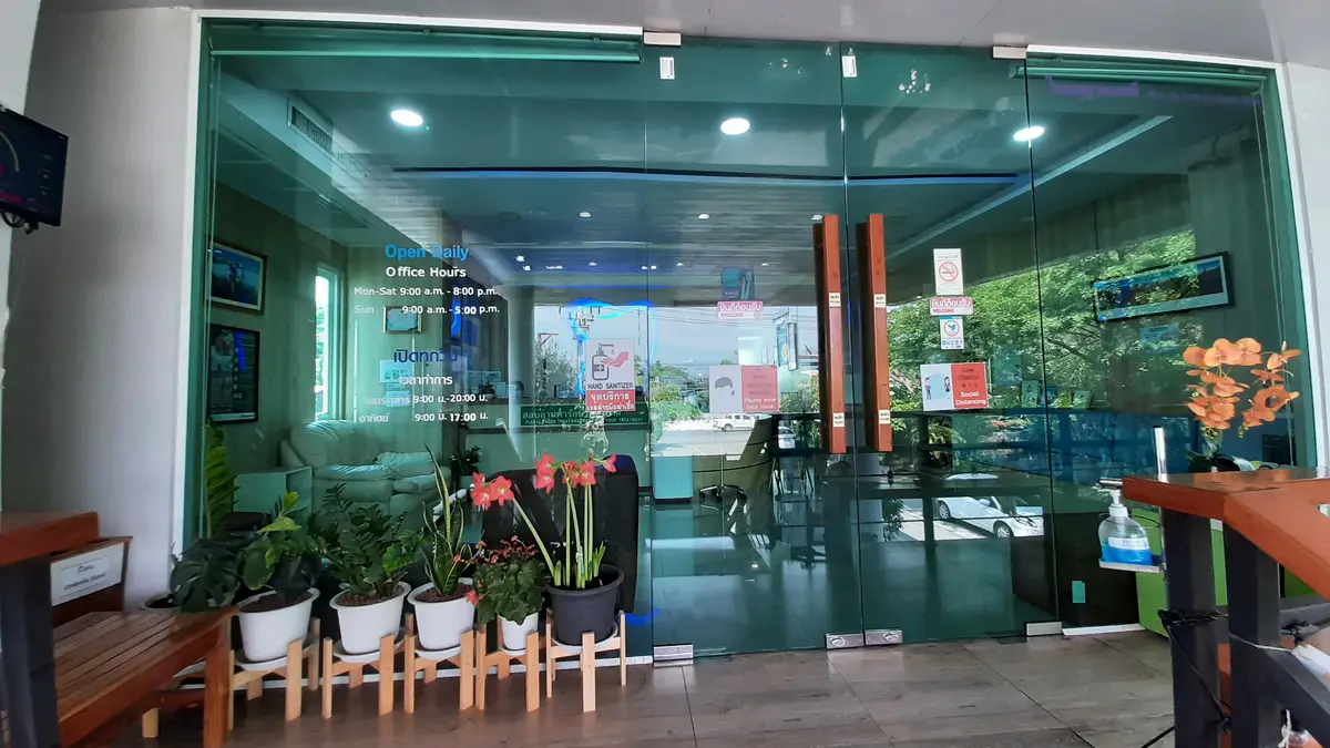 Glass entrance doors with potted flowers on a wooden platform in front of a dental clinic