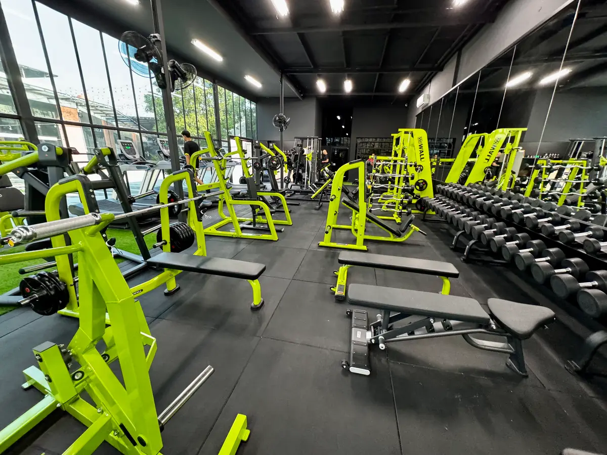 Large gym floor with green weight benches, racks and rows of dumbbells.