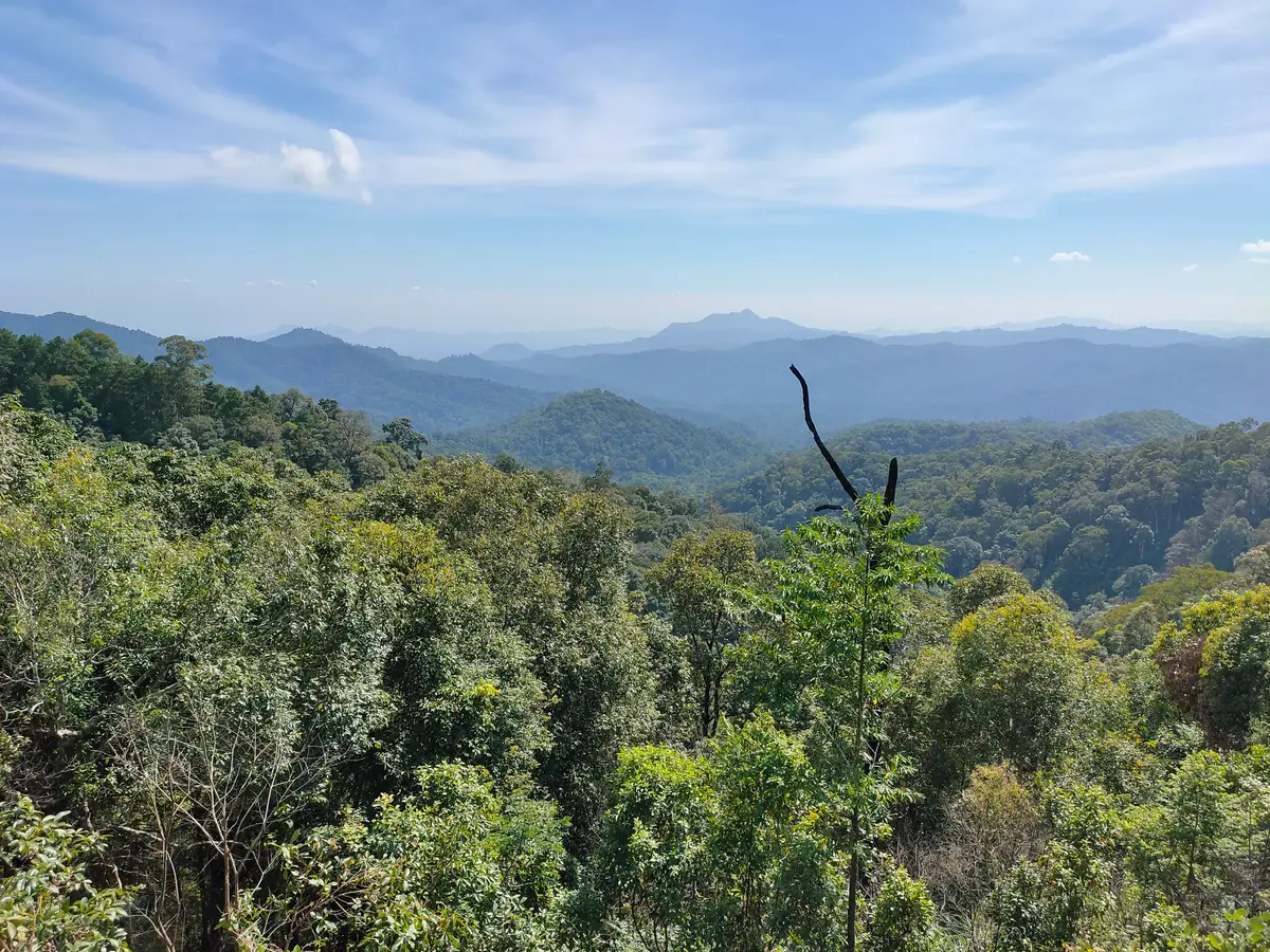 Forested ridges fading into haze under a blue sky, seen from a high viewpoint
