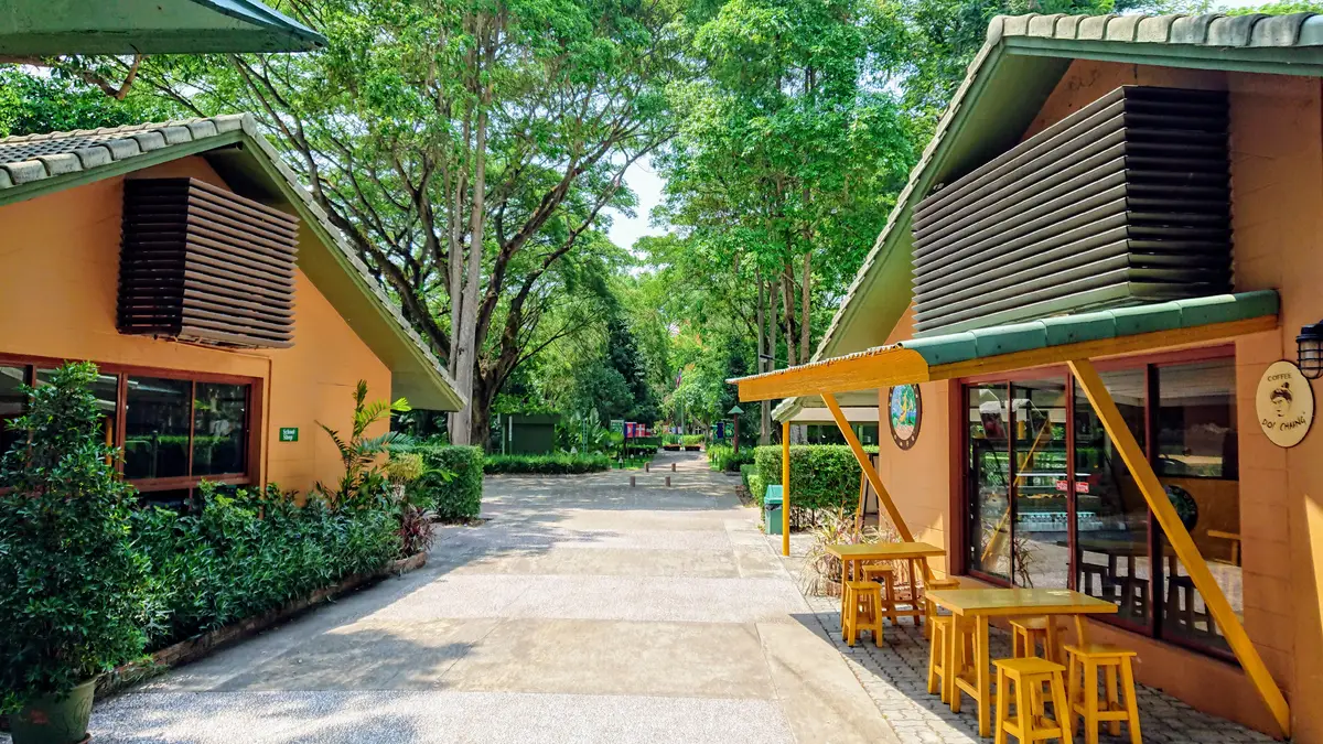 Paved walkway between trees with a small orange cafe building on the right