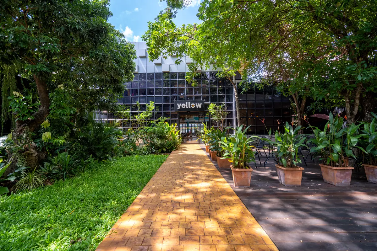 Brick path through a leafy garden leading to a glass-fronted building with a yellow sign