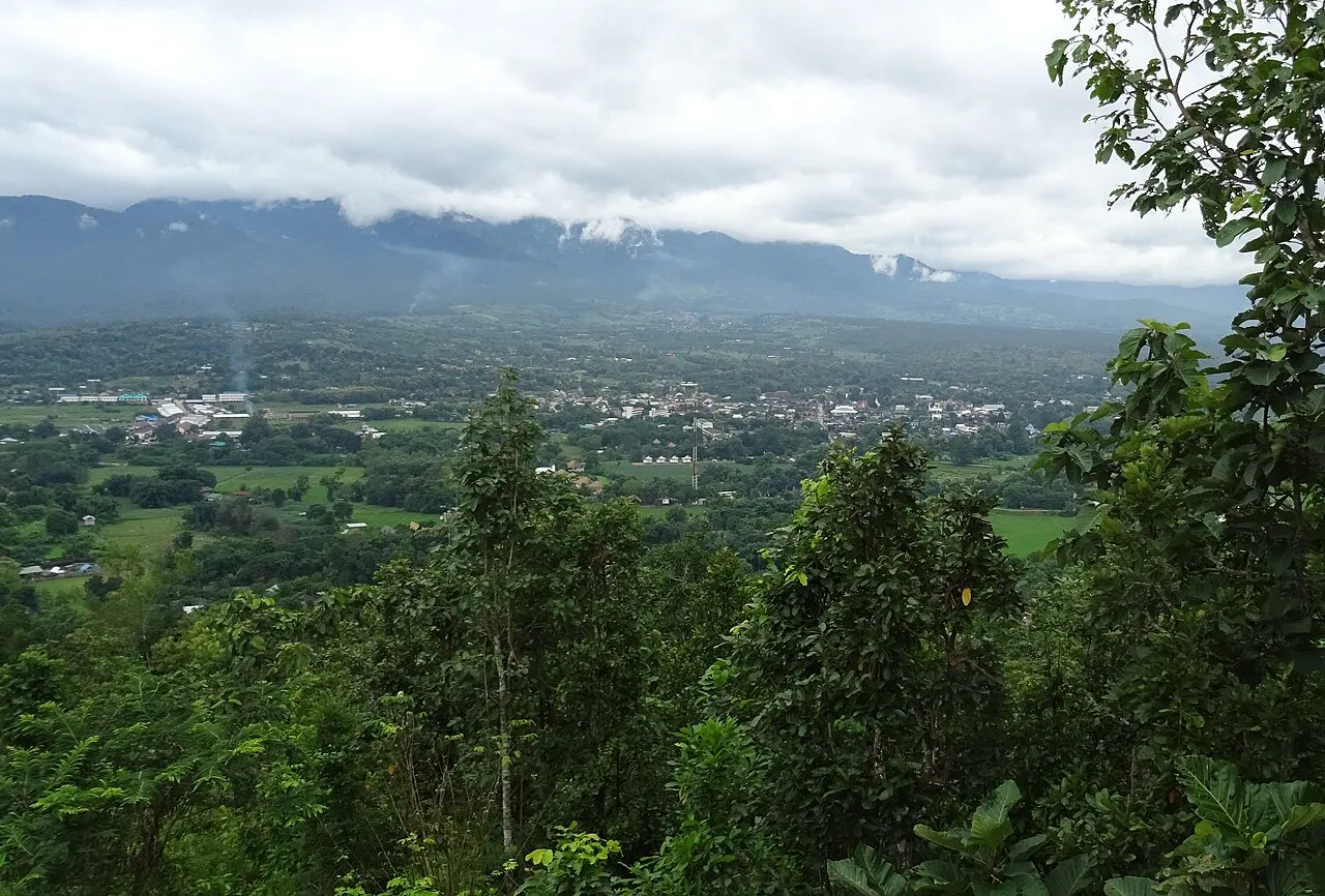 Wide valley with farmland and cloud-covered mountains behind trees