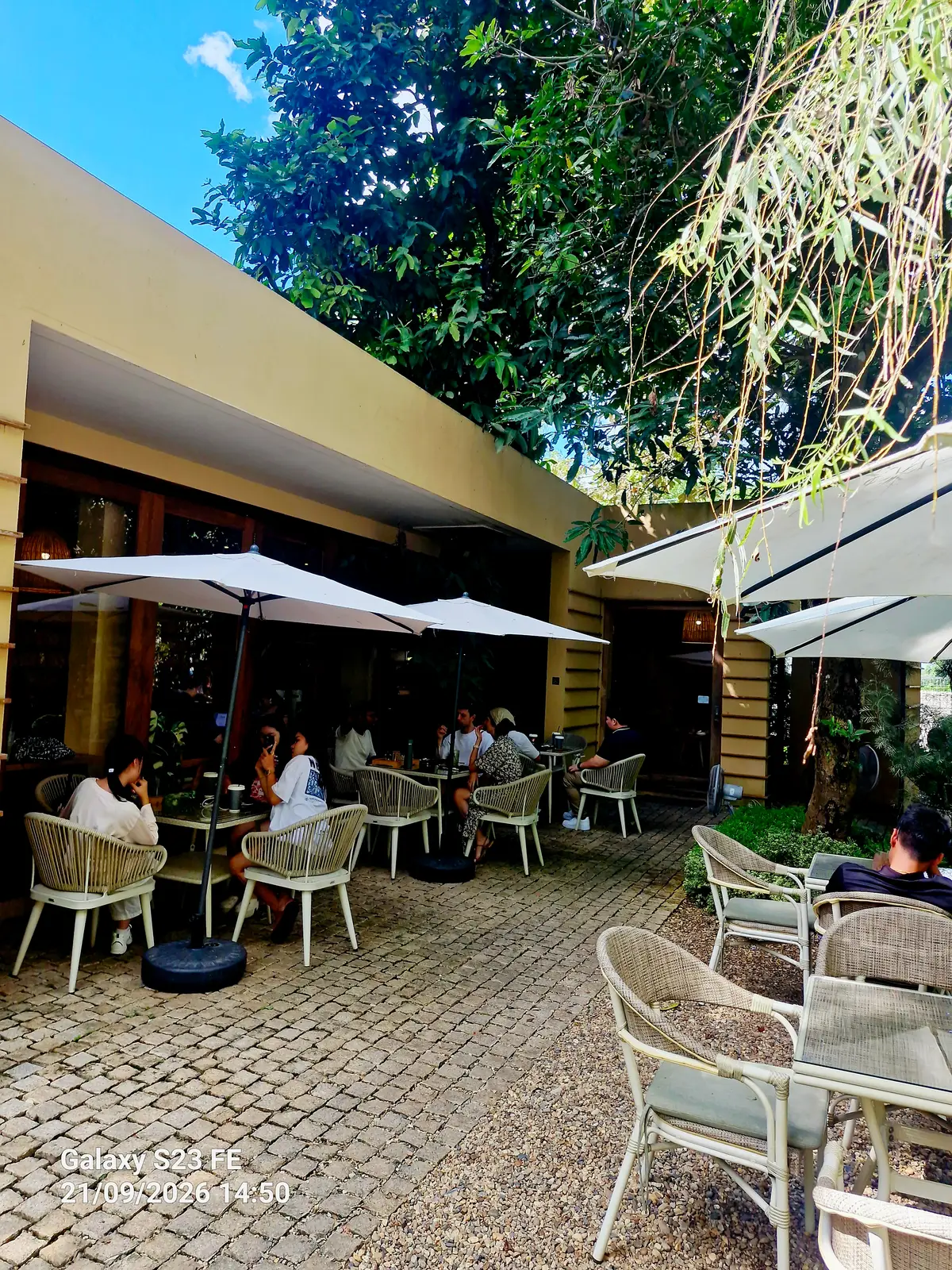 Garden terrace with white umbrellas, wicker chairs and diners under trees