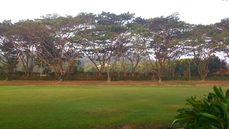 Prem Tinsulanonda International School, photo 4