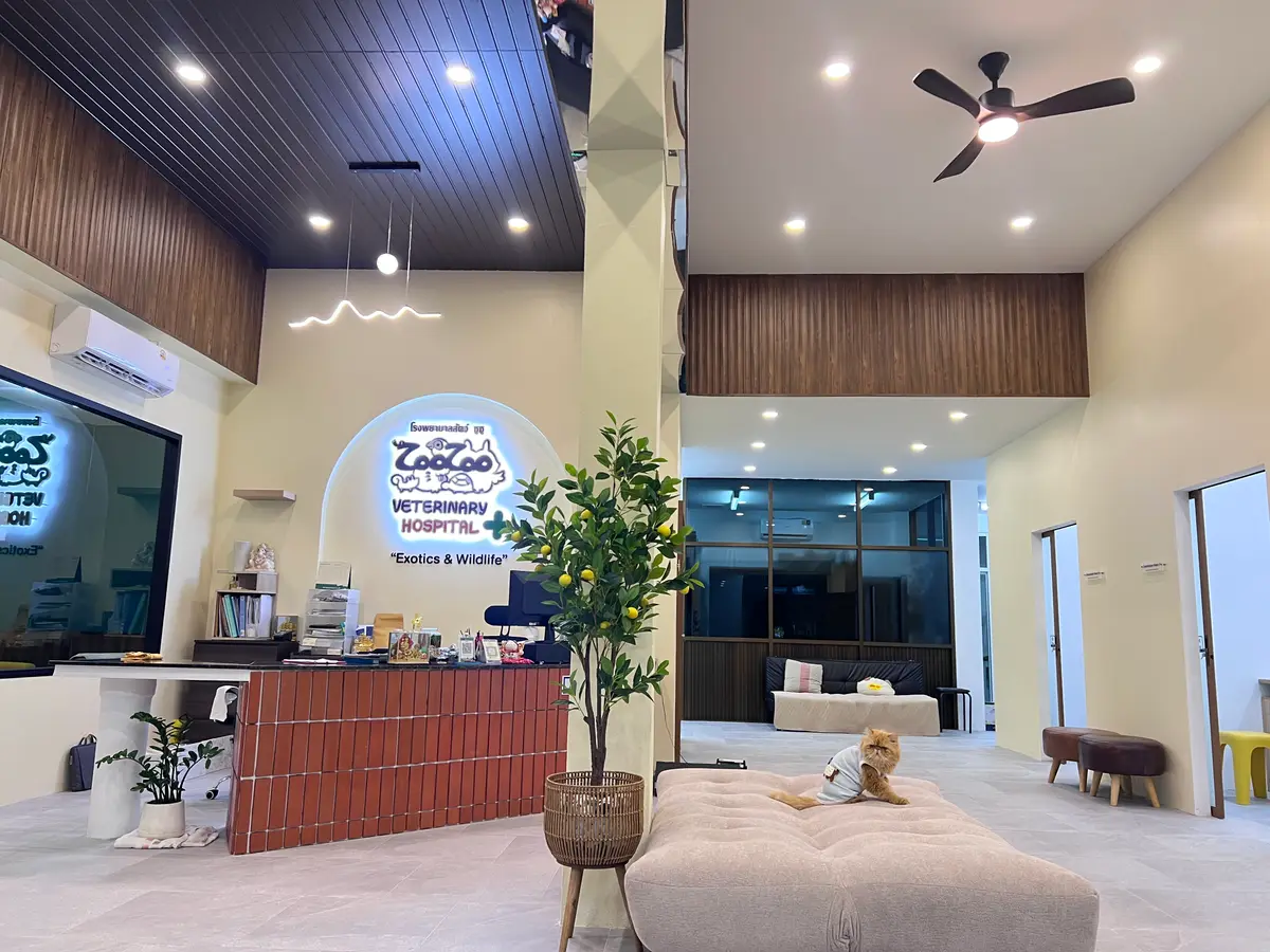 Reception area with a logo on the wall, a wooden counter and a large cushioned bench
